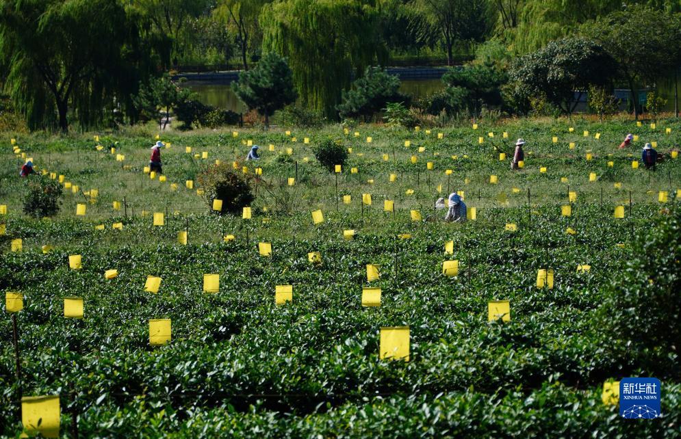 中国(新时代)赌城